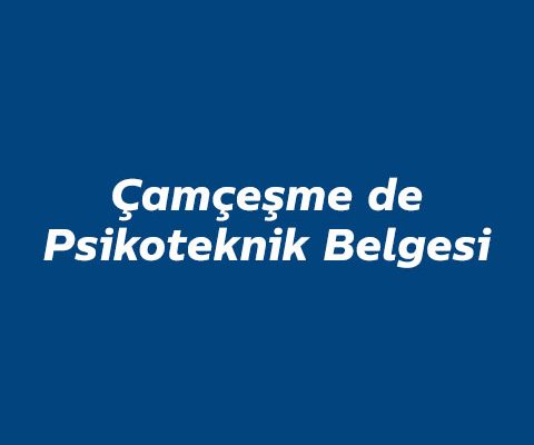 camcesme-de-psikoteknik
