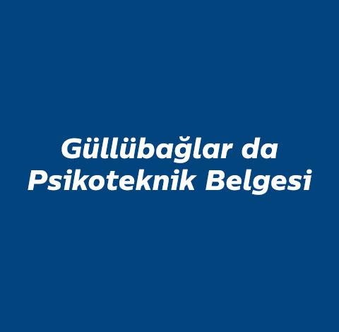 gullubaglar-da-psikoteknik