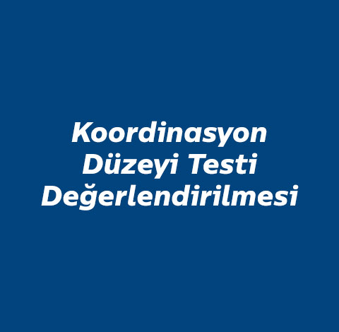 koordinasyon-duzeyi-testi-degerlendirilmesi