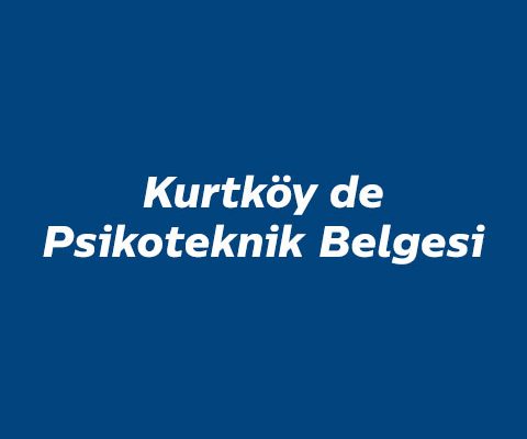 kurtkoy-de-psikoteknik